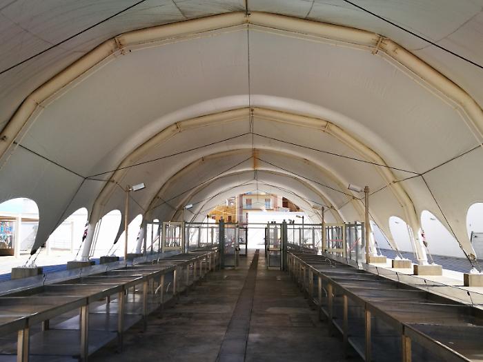 Trapani, lavori urgenti al mercato ittico due giorni di chiusura forzata