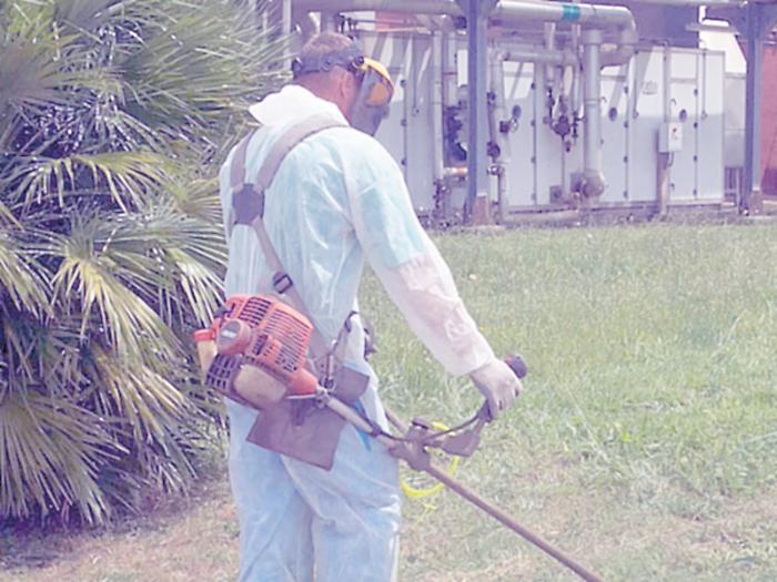 Diserbo, no a Reset e via libera ai privati:  la gara per l&rsquo;affidamento coster&agrave; al Comune 1,4 milioni di euro