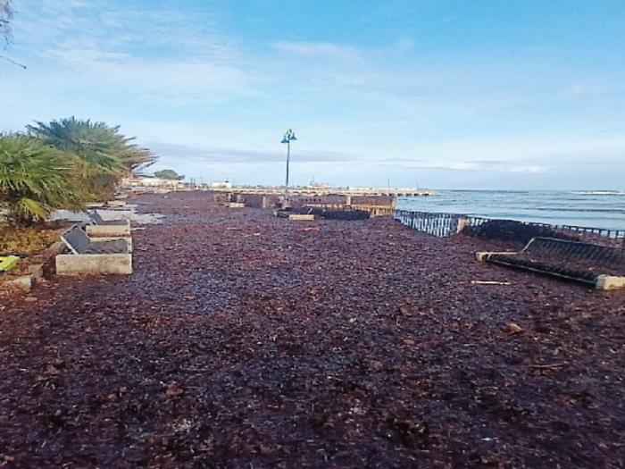 Dopo la tempesta Harry Mondello invasa dalla posidonia: &egrave; caccia ai fondi per smaltire il "rifiuto speciale"